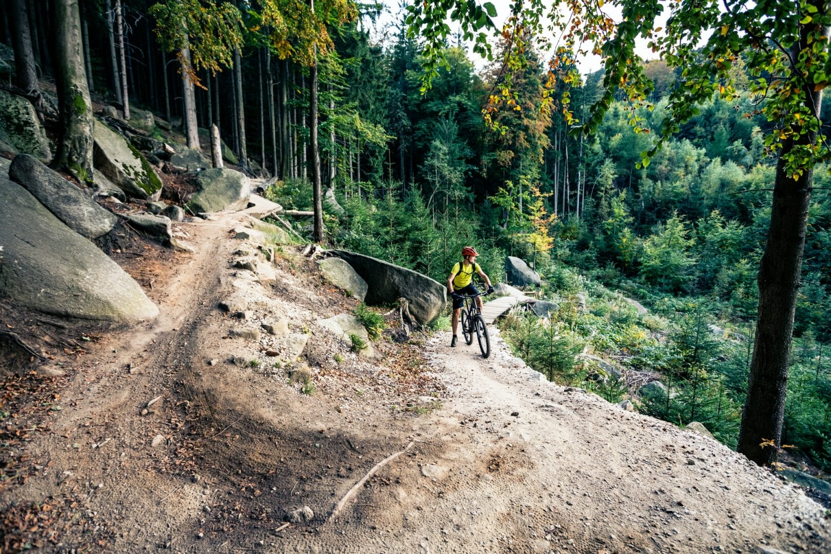 Mountain biker riding cycling in autumn forest