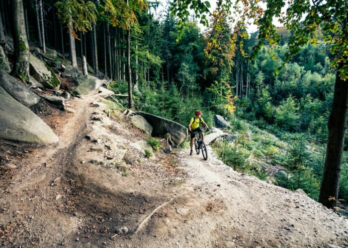 Mountain biker riding cycling in autumn forest